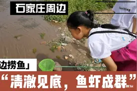 石家庄周边河边捞鱼捉虾好去处：40分钟开车到水边，水浅鱼虾成群视频封面