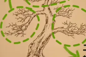 盆景三枝法详细制做教程视频封面