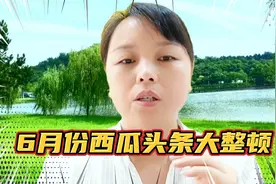 6月份西瓜头条信用分调整，处罚越来越严格，未来自媒体该怎么走视频封面