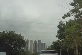 牛逼轰轰视频封面