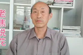 今天我来说说重瓣茉莉花和单瓣茉莉花，怎么区分，都有哪些特性。视频封面