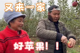 刚买完一家苹果，又找到一个味道棒棒的，表哥随身工具略显专业