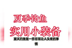 夏天出门钓鱼带上这几样东西，安全又舒心，还不占地方视频封面