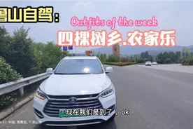 鲁山自驾.四棵树乡农家乐视频封面