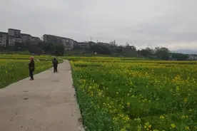 乡镇旅游振兴，四川这座小镇大手笔，太美了视频封面