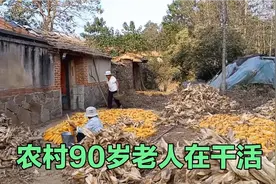 90岁老人讲，干活才有活路，看看老人是怎样，剥玉米晒玉米的视频封面