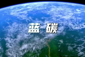 什么是蓝碳？视频封面