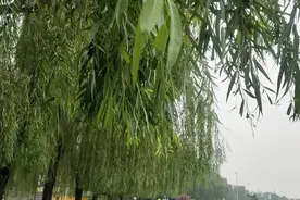 400W将房子卖掉交与高级养老机构，但老人2个月后却离去感谢关注视频封面