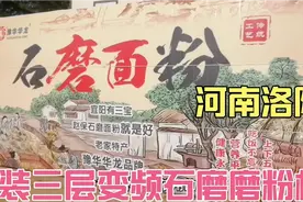 河南洛阳，张总的石磨面粉厂开业了，上门安装三层变频石磨磨粉机视频封面