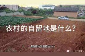 什么是自留地，农村的自留地与承包地有什么区别？视频封面