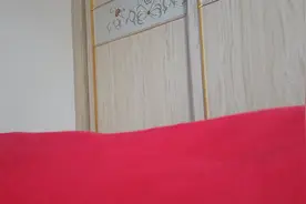 233乐园的下载过程。
