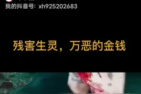 邪恶的人类。。。视频封面