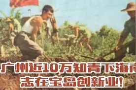 广州知青近10万知青下海南，志在宝岛创新业!视频封面