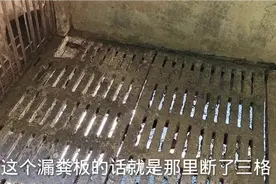 想建漏粪板猪舍的看过来让你少走弯路，要选什么漏粪板才合适视频封面