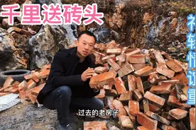 砖头该如何种兰花，这一堆砖头全部破碎，种兰花的好东西哦！视频封面
