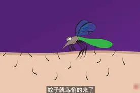 蚊子吸血的时候为什么感觉不到疼。看完你就懂了。