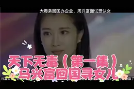 大毒枭马兴富回国建毒品生产线，寻找失散多年的女儿视频封面