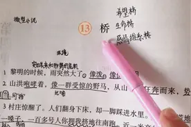 小学语文六年级上册，第13课《桥》视频封面