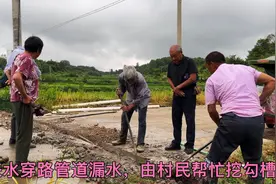 农村穿路自来水40水管漏水了，没想到罪魁祸首竟然是“它”视频封面