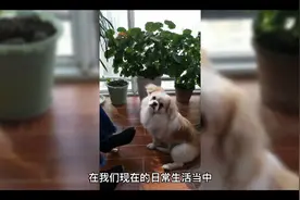 一个男人，每天喝一小杯白酒对身体有什么好处？视频封面