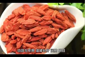 枸杞的功效与作用视频封面