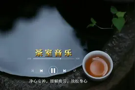 『书隐情景音乐』品茶静心必备雅乐《寒鸦戏水》《高山流水》视频封面
