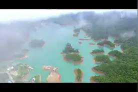 哇！一小镇的青菜居然扬名整个广东和港澳地区，啥原因？？视频封面