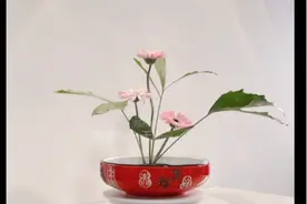 超簡單插花simple flower arrangement视频封面