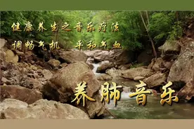健康音药｜古琴曲《城里的月光》调畅气机、平和气血、提升肺活力视频封面