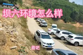 连续钓鱼的170天，在这几天，天气有点变化鱼口不是那么好视频封面