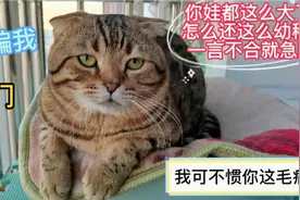 我家猫咪的区别对待：对小主人是有问必答，对妈妈则是选择性耳聋视频封面