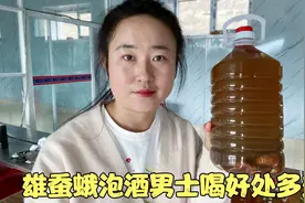 雄蚕蛾泡酒男士喝好处多多，而且用途非常厉害，好多人都不知道视频封面