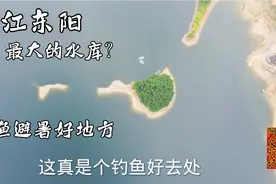 浙江东阳最大的水库？每年还卖给义乌几千万吨的水，这水就是钱啊视频封面