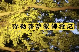 原来成佛的密秘在此！秒懂《法华经》里佛给所有的的弟子授记成佛视频封面