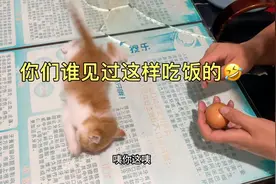 吃个鱼表情包都给吃出来了？你是来搞笑的吗😂😂你是要成精啊🤣🤣视频封面