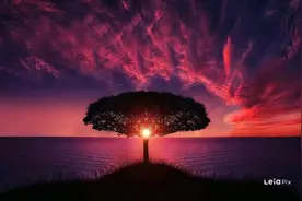 Lofi音樂因其輕鬆和舒緩的特質，非常適合在需要集中注意力或放鬆