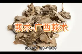 莪术-广西莪术的作用与功效。性味归经。中药，中草药。@寻良医