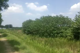 南京江宁区开发区视频封面