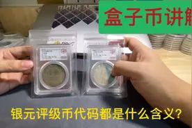 银元评级币上的编号01-09都代表了什么？看完后收藏升级 避免踩坑视频封面