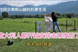 意大利人一年14个月薪，圣诞节前发第13个月，7月发第14个月工资视频封面