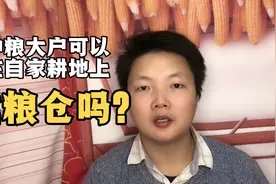 农民可以在自家耕地上建粮仓吗？种植大户一定要看……视频封面