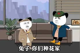 种花家的十二生肖都代表什么意思视频封面