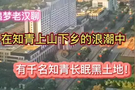 在知识青年上山下乡的大潮中，有近千名知青长眠在黑土地！视频封面