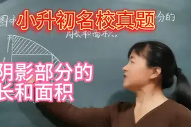 六年级学霸必刷题  求阴影部分的面积和周长视频封面