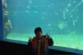 最想念的人，你是我的宝贝宝贝视频封面