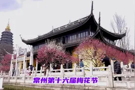 第十六届常州市梅花节的红梅公园这几天已进入梅花最佳观赏期
