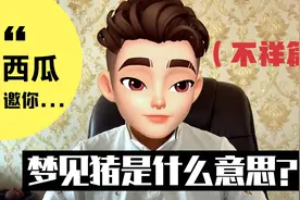 梦见猪是什么意思？（不祥篇）视频封面