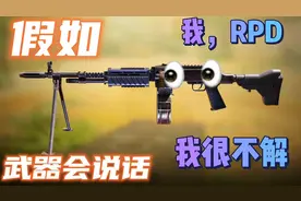 我，RPD，我很不解视频封面