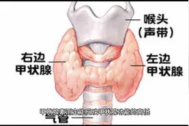 检验结果解读：血清甲状腺素视频封面