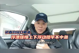 初春钓轻口鲫鱼，浮漂缓慢上下浮动提竿不中鱼，原因在这里视频封面